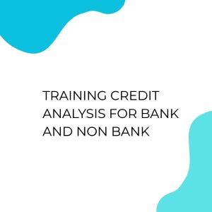 TRAINING CREDIT ANALYSIS FOR BANK AND NON BANK