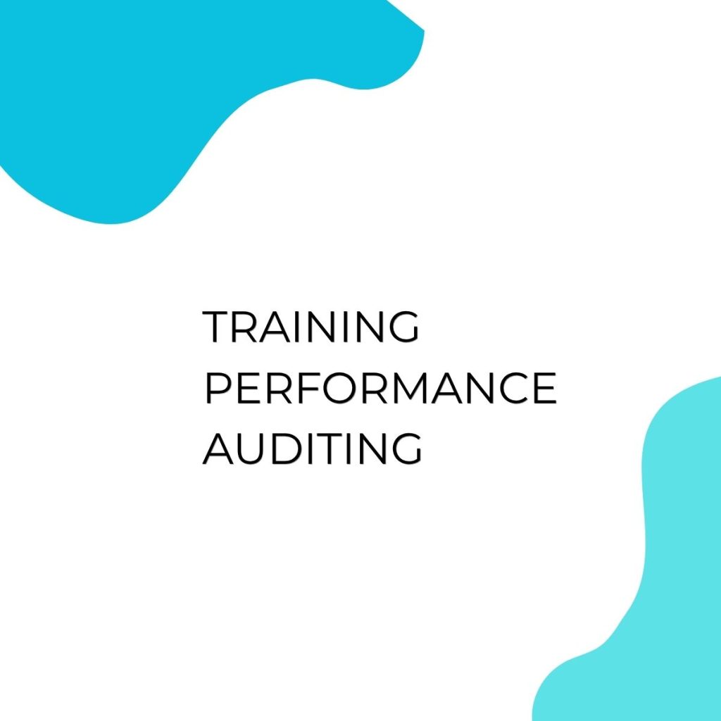 TRAINING PERFORMANCE AUDITING pelatihan PERFORMANCE AUDITING di jogja