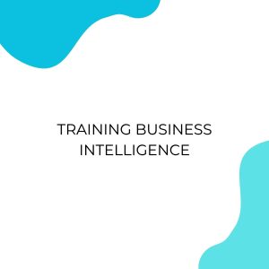 TRAINING BUSINESS INTELLIGENCE