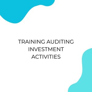 pelatihan AUDITING INVESTMENT ACTIVITIES di jogja